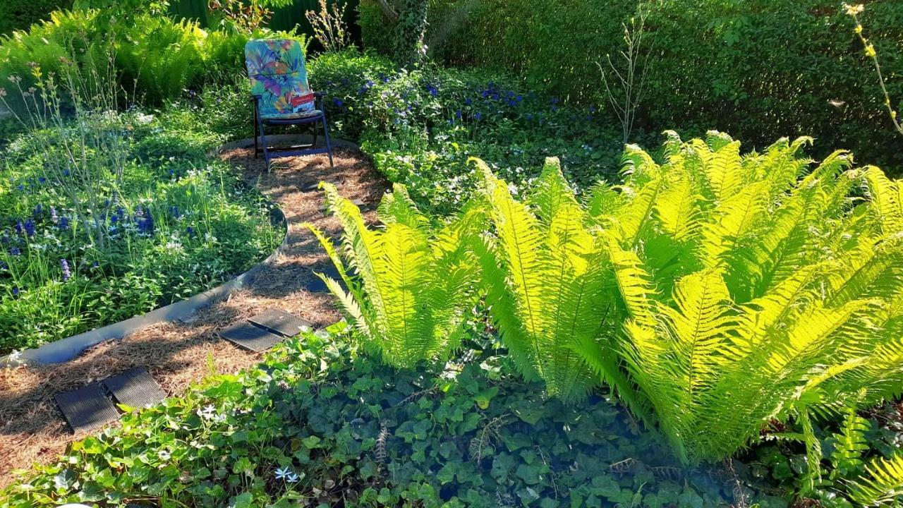 Mitten Im Seenland Und Spreewaldnah, Schoener Garten Storkow  Zewnętrze zdjęcie