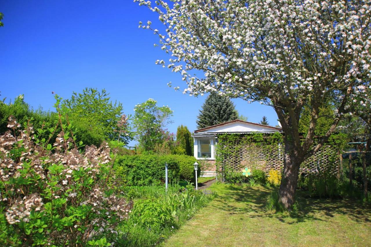 Mitten Im Seenland Und Spreewaldnah, Schoener Garten Storkow  Zewnętrze zdjęcie
